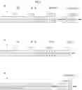 Fig. 03 - Dynamic management of packet loss