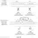 Fig. 07 - Data processing method and device