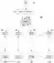 Fig. 01 - Distributed object routing