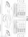 Fig. 05 - Token device for conducting cryptography key backup or restoration operation