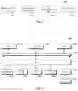 Fig. 06 - Method and apparatus for processing information