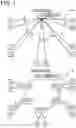 Fig. 02 - Transmission device and network system
