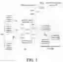 Fig. 02 - CLOUD RADIO ACCESS NETWORK SYSTEM AND CONTROL METHOD THEREOF