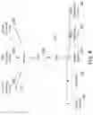 Fig. 09 - Automated bundling of content