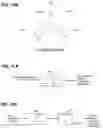 Fig. 13 - Data encryption and decryption using neurological fingerprints