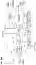 Fig. 17 - Data encryption and decryption using neurological fingerprints