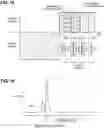 Fig. 19 - Data encryption and decryption using neurological fingerprints