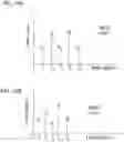 Fig. 23 - Data encryption and decryption using neurological fingerprints