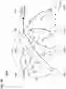 Fig. 24 - Data encryption and decryption using neurological fingerprints