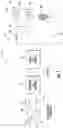 Fig. 04 - Pre-distortion system for cancellation of nonlinear distortion in mobile devices