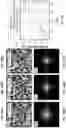 Fig. 14 - Single-frame autofocusing using multi-LED illumination