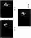 Fig. 10 - User interfaces to configure a thermal imaging system