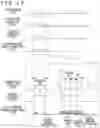 Fig. 18 - Electronic apparatus and electronic apparatus controlling method
