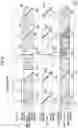 Fig. 08 - Global shutter and rolling shutter drive start timings for imaging apparatus, imaging method, and imaging program