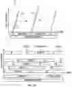 Fig. 04 - Seamless readout mode transitions in image sensors