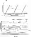 Fig. 05 - Seamless readout mode transitions in image sensors