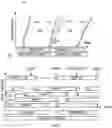 Fig. 06 - Seamless readout mode transitions in image sensors