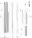 Fig. 14 - Method and apparatus for video coding