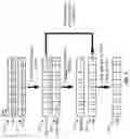 Fig. 07 - Progressive lossless compression of image data