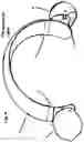 Fig. 05 - Vertically configured parametric transducer headphones
