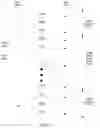 Fig. 08 - Neighbor awareness networking datapath—reciprocation and coexistence