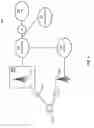 Fig. 11 - Customizable and low-latency architecture for cellular core networks