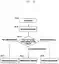 Fig. 44 - Method for reporting measurement result by user equipment transceiving data by first radio access technology and second radio access technology, and device therefor