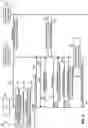 Fig. 05 - Reporting early measurement results in the next generation wireless networks