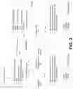 Fig. 03 - Transmission of network slicing constraints in 5G wireless networks