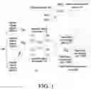 Fig. 02 - Cloud radio access network system and control method thereof