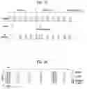 Fig. 15 - Method for transmitting/receiving synchronization signal for D2D communication in wireless communication system, and apparatus therefor