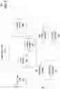 Fig. 06 - ROAMING MOBILE SUBSCRIBER TERMINAL LOCATING SYSTEM
