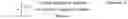 Fig. 05 - Method and user equipment for performing uplink transmission