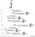 Fig. 01 - Methods, communication devices and network nodes for enhancing communication in a wireless communication network