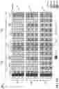 Fig. 06 - Front loaded SRS