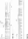 Fig. 16 - Orthogonal frequency division multiple access for wireless local area network