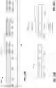 Fig. 19 - Orthogonal frequency division multiple access for wireless local area network