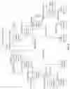 Fig. 08 - Optimizations for prose communications