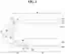 Fig. 04 - Flexible display device