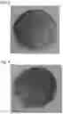 Fig. 03 - Electromagnetic shielding material and method for producing the same