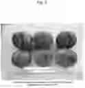 Fig. 03 - Nectarine tree named 'SWEET REI'