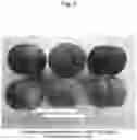 Fig. 04 - Nectarine tree named 'SWEET REI'