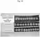 Fig. 16 - Nectarine tree named 'SWEET REI'