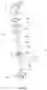 Fig. 27 - Grass trimmer, operating method thereof and control method thereof