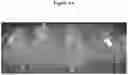Fig. 07 - Compositions and methods based on PMT engineering for producing tobacco plants and products having altered alkaloid levels