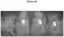 Fig. 11 - Compositions and methods based on PMT engineering for producing tobacco plants and products having altered alkaloid levels