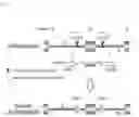 Fig. 02 - GENOME EDITING METHOD
