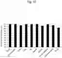 Fig. 11 - Rat model of down syndrome and method for producing same