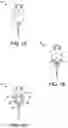 Fig. 02 - Transplantation method to increase the establishment rate of human tumors in immunodeficient mice