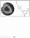 Fig. 02 - Cryopreservation using sucralose